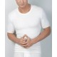 MEDIMA Maglia MEZZA MANICA LANA ANGORA 50% uomo M711 girocollo BIANCO