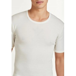 RAGNO Maglia uomo girocollo MANICA CORTA 100% lana merino extra fine 060037 BIANCO 100MERINO