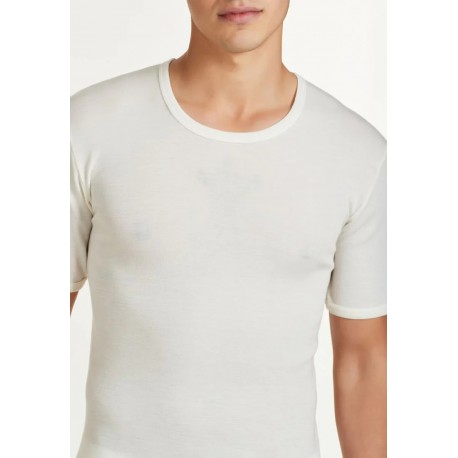 RAGNO Maglia uomo girocollo MANICA CORTA 100% lana merino extra fine 060037 BIANCO 100MERINO